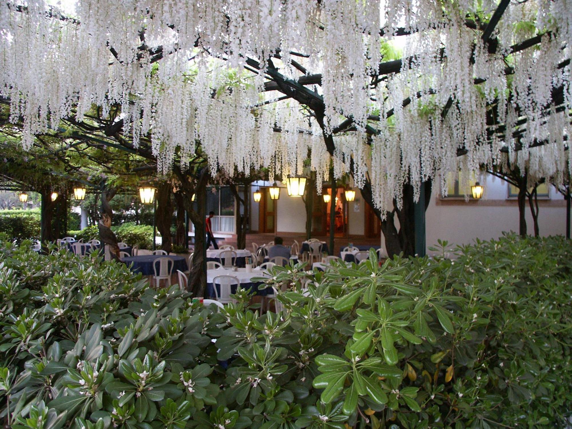 Albergo Ristorante Papa ペスキエーラ・デル・ガルダ エクステリア 写真